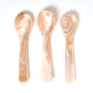 Accessoires de table à manger cuillère en nacre naturelle bonne qualité mini taille capiz cuillères en coquillage - Product Image 5