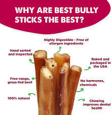 Masticables dentales orgánicos no tóxicos, palitos masticables puros para perros, bocadillos seguros para alimentos - Product Image 3