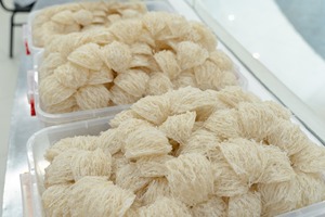 Exportación Directa de Nido de Pájaro Crudo |   Instalación de Procesamiento en Vietnam - Product Image 3