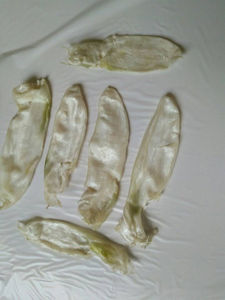 Tripa de Anguila Premium en Paquete a Granel, Marisco Natural Deshidratado, Alto en Colágeno, Conservado en Sal, Congelado, Bajo en Carbohidratos y Azúcar, Grado Saludable - Product Image 5