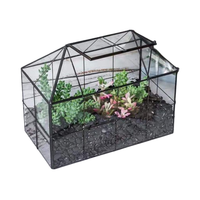 Fabricant Pyramide Triangle Géométrique Terrarium Moderne Artistique Verre Clair Géométrique Terrarium Planteur