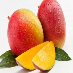 Frutta secca thailandese di alta qualità Premium frutta di Mango essiccata morbida e sana con mango fresco a basso contenuto di zucchero in vendita