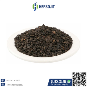 Graines de Babchi de la meilleure qualité, Psoralea Corylifolia, 100% naturel, Herbojit International, fabriqué en Inde, bon prix pour la gestion de la peau - Product Image 6