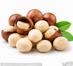 Nueces de Macadamia Orgánicas, Naturales, Crudas y Tostadas, al por Mayor, Alto Valor Nutricional, Estándar de Exportación - Product Image 6