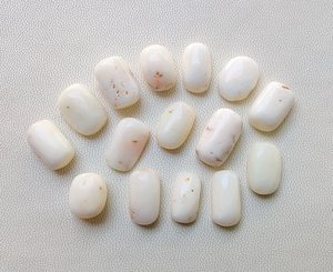 ปะการังสีขาวปะการังธรรมชาติมีค่าสีขาวปะการังสีขาวรูปไข่ปะการังญี่ปุ่นสีขาวสำหรับทำเครื่องประดับ - Product Image 2