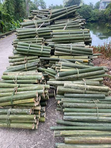 Bamboe, verwerkt in Vietnam, met een schone afwerking en consistente prestaties voor de exporthandel. - Product Image 3