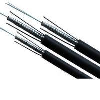 Cable de Comunicación de Fibra Óptica Aérea Metálico Sin Costuras de 36 Núcleos Vietnam HNL25-TKL36