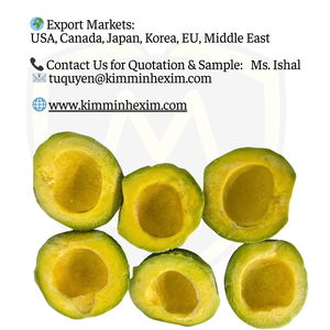 Proveedor de aguacate congelado IQF a granel de Vietnam a granel para batidos y servicio de alimentos - Product Image 6