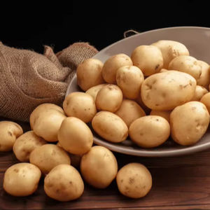 Nueva Cosecha de Patatas Orgánicas (Solanum Tuberosum) de Forma Larga, Color Amarillo, Sabor Dulce y Fresco, en Venta - Product Image 1