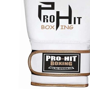Gants de boxe Nouveaux gants de frappe de marque privée avec poignées Vêtements d'entraînement imperméables Logo imprimé personnalisé pour hommes - Product Image 3