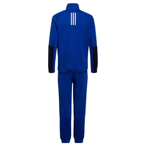 Vente en gros Ensemble de survêtements en polyester pour hommes 2025 Costumes pour hommes de haute qualité Slim Fit Blank Survêtement Logo personnalisé - Product Image 2