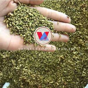 SOPHORA JAPONICA TOUS NATURELS SÉCHÉS/RÉCOLTÉ AU VIETNAM/POUR L'EXTRACTION DE QUERCÉTINE PRODUITS DE SANTÉ ET EXPORTATEURS - Product Image 3