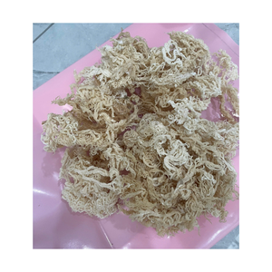 Algas marinas secas moradas, musgo irlandés de Vietnam, Eucheuma Cottonii para hacer batidos, coberturas para ensaladas y gel de musgo marino - Product Image 3