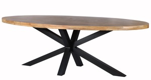 Diseño moderno DT Oval Mango 25 + 25MM Mesa de comedor con 75x75MM Matrix Leg Portátil para uso en el hogar, hotel o apartamento, almacén - Product Image 3