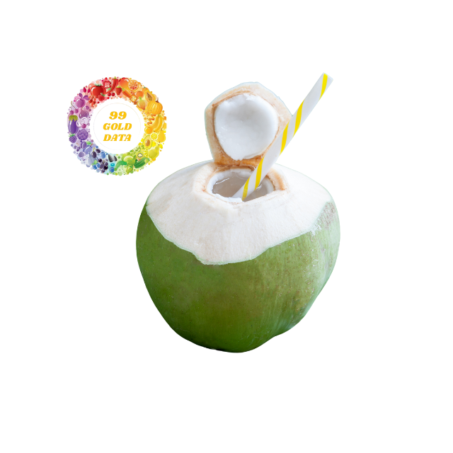 Top Fresh Young Coconut from Vietnam Premium Quality Sweet Green Siamese Young Coconuts super Sale cheap