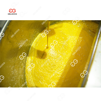 Ligne de production industrielle pour la fabrication de purée, de confiture et de jus de mangue