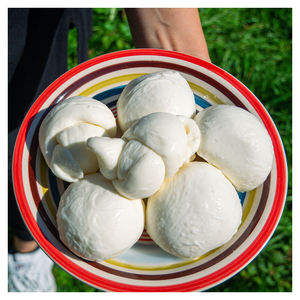 MARQUE DE FROMAGE MOZZARELLA DUR 2.3 KG à VENDRE/OÙ ACHETER DES CARTONS DE FROMAGE PIZZA MOZZARELLA/FROMAGE pour PIZZA - Product Image 4