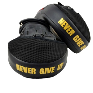 Mitaines de frappe Fairtex de haute qualité, vente en gros, cible de frappe pour les mains, mitaines d'entraînement de boxe, coussinets de frappe pour la boxe, mitaines de frappe pour le Muay Thai - Product Image 2