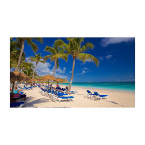 Large Quantities of Versatile & Sturdy Beech <b>Wood</b> <b>Logs</b> Price for Various Projects - Product Image 5