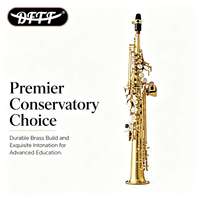Professional Eb Soprano Saxophone-High Quality Gold Lacquer Brass Body Rust Resistant OEM Service for Orchestral Use