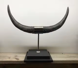 Corne à boire viking authentique en corne de bœuf, écologique, personnalisable, pour l'eau, le vin, les fêtes, utilisation européenne - Product Image 1