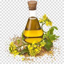 Aceite de Canola de Primera Calidad para Almacenamiento y Uso Alimentario, Procedente de Sudáfrica |   Bidones de 5L, 18L y 200L, Sabor Neutro, Alto Punto de Humo - Product Image 2