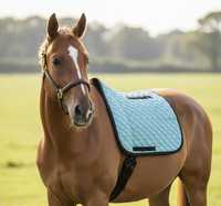 Tapis de selle matelassé bleu clair tout usage en polyester doublé polaire avec sangle de maintien pour l'équitation