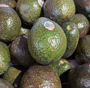 Aguacates Hass frescos orgánicos de alta calidad al mejor precio - Product Image 1