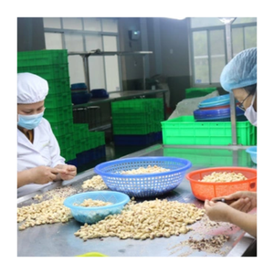 Top Quality Delicious Roasted Cashews with Salt Natural Good for Health - Product Image 6