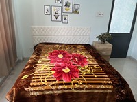Nouveau design de couverture d'hiver de Rachel personnalisée taille 200x240cm 6.0Kg 2 plis 100% polyester écologique sublimation style coréen pour