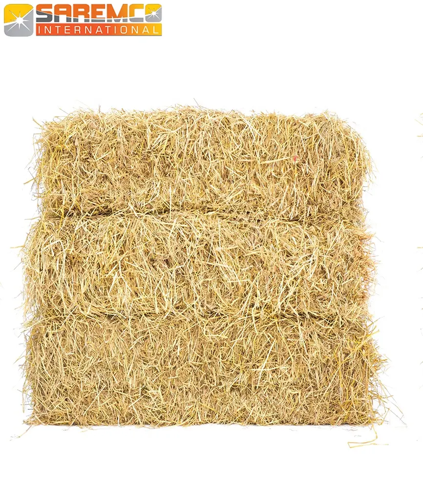 Palha de arroz amarela seca-resíduos de paddy-alimentação para livestock
