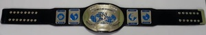 Wrestling Championship Belts Trophées Médailles et récompenses le symbole ultime de la victoire et de l'excellence Ceintures de championnat - Product Image 4