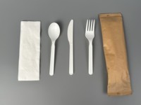 Nouveaux couverts écologiques compostables CPLA couteau fourchette cuillère ensemble pour la restauration