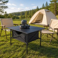 Table de pique-nique carrée en acier inoxydable pliable pour jardin et extérieur