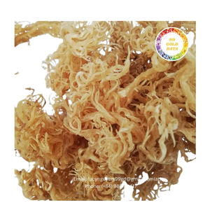 Algues Cottonii séchées d'origine vietnamienne de haute qualité, prix abordable, grand stock, expédition rapide - Product Image 4
