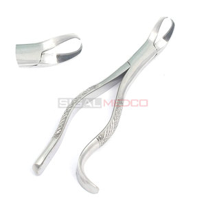 Fórceps de extracción de raíz Premium #16 Molar inferior Cuerno de vaca universal Instrumento de extracción dental de alta calidad - Product Image 2