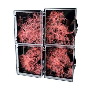 Hot New Korean PBT Fiber Eyelash Extensions 1000 Box 7D Loose 0.03mm-0.20mm Mixte Longueur À La Main Du Vietnam - Product Image 4