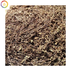 Gelée d'herbe noire à base de plantes de qualité supérieure-Feuilles de gelée séchées vietnamiennes pour le marché mondial à des prix compétitifs - Product Image 3