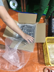 บรรจุอ้อยที่ปอกเปลือกและแช่แข็งอย่างสมบูรณ์500กรัมหรือเป็นก้อนจากดอกบัวในฟาร์มสีฟ้าเวียดนาม - Product Image 5