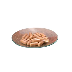 Budget-Friendly Health Product: Ganoderma Lucidum Extract Capsule - 1% Triterpenoids 40% Polysaccharide
