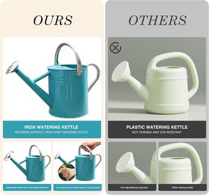 Regadera de acero inoxidable para plantar hierbas, regadera de calidad superior, regadera Premium para flores de jardinero profesional - Product Image 3