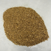 Vente en gros abordable de résidus de farine de bière et de grains de brassage disponibles pour l'alimentation animale