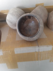 Cáscara de Coco Cruda de Vietnam, Material Seleccionado, Ideal para Artesanías Hechas a Mano, Fabricación de Carbón Vegetal y Suministro para Exportación 2025 - Product Image 6