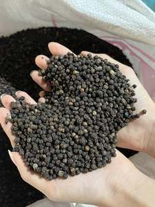 Poivre noir entier du Vietnam de qualité supérieure, traité à la vapeur propre, épice en vrac pour la transformation alimentaire, exportation - Mme Tarina - Product Image 3