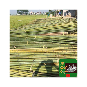 Tube de poteaux en bambou haute résistance fiable pour les projets de construction de bâtiments Matériau durable et durable avec une qualité durable - Product Image 3