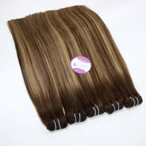 Venta al por mayor de alta calidad vietnamita máquina de extensiones de cabello de trama recta Balayage Color - Product Image 1