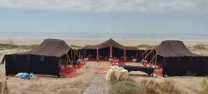 Tentes en poils de chèvre du Sahara, abris nomades traditionnels du désert, adaptés au climat, à la culture et à la vie durable en Afrique du Nord - Product Image 2