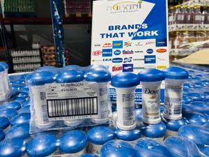 Venta al por mayor para las maquinillas de afeitar desechables Fusions 5-Triple hoja cara y cuerpo uso para hombres - Product Image 2