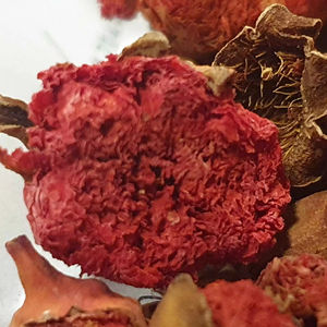 2024 al por mayor 100% naturales flores secas a granel de alta calidad material Granada flores secas fragancia natural de alta calidad - Product Image 1