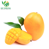 MANGUE CONGELÉE DE MEILLEURE QUALITÉ D'EXPORTATION DU VIETNAM/MANGUE FRAÎCHE LA MEILLEURE VENTE AU PRIX BON MARCHÉ
